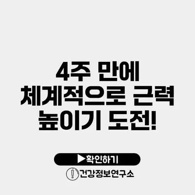 4주 만에 체계적으로 근력 높이기 도전!