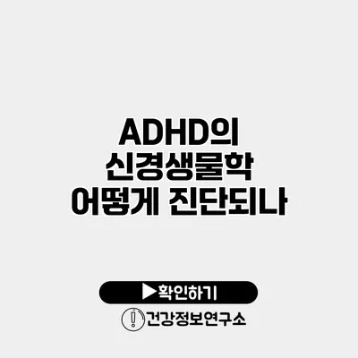 ADHD의 신경생물학 어떻게 진단되나?