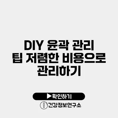 DIY 윤곽 관리 팁 저렴한 비용으로 관리하기