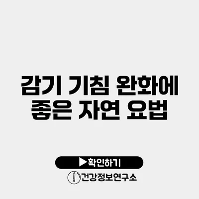 감기 기침 완화에 좋은 자연 요법