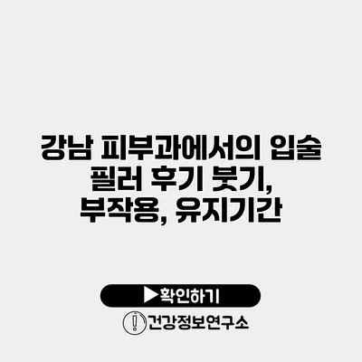 강남 피부과에서의 입술 필러 후기 붓기, 부작용, 유지기간