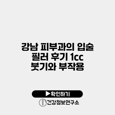 강남 피부과의 입술 필러 후기 1cc 붓기와 부작용