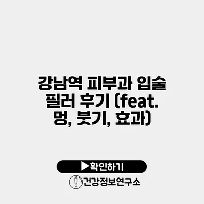 강남역 피부과 입술 필러 후기 (feat. 멍, 붓기, 효과)