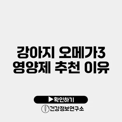 강아지 오메가3 영양제 추천 이유