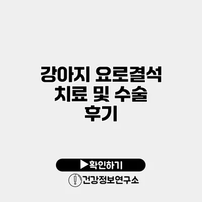 강아지 요로결석 치료 및 수술 후기