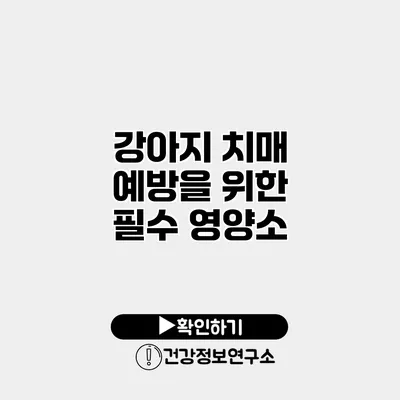 강아지 치매 예방을 위한 필수 영양소