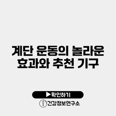 계단 운동의 놀라운 효과와 추천 기구