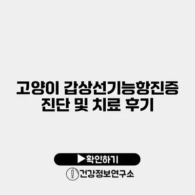 고양이 갑상선기능항진증 진단 및 치료 후기