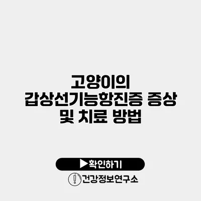 고양이의 갑상선기능항진증 증상 및 치료 방법