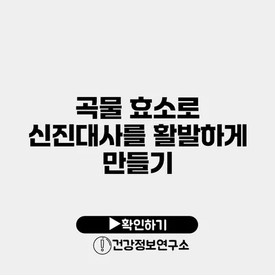 곡물 효소로 신진대사를 활발하게 만들기