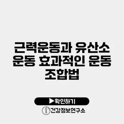 근력운동과 유산소 운동 효과적인 운동 조합법