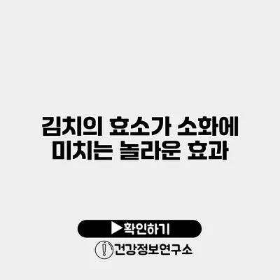 김치의 효소가 소화에 미치는 놀라운 효과