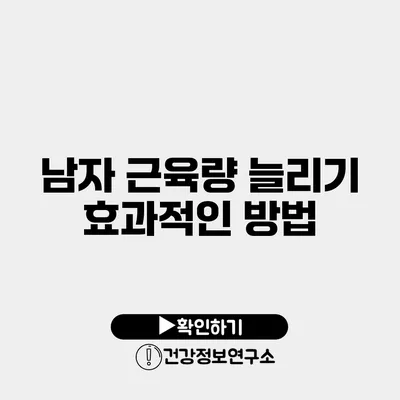 남자 근육량 늘리기 효과적인 방법