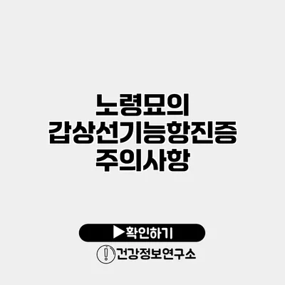 노령묘의 갑상선기능항진증 주의사항