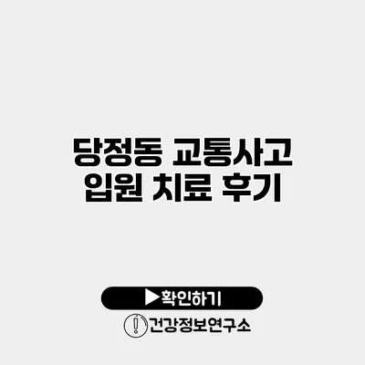 당정동 교통사고 입원 치료 후기