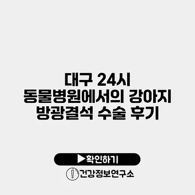 대구 24시 동물병원에서의 강아지 방광결석 수술 후기