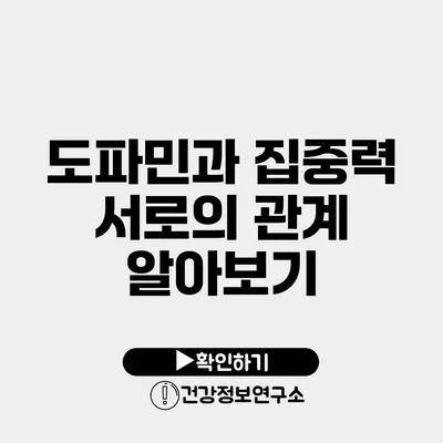 도파민과 집중력 서로의 관계 알아보기