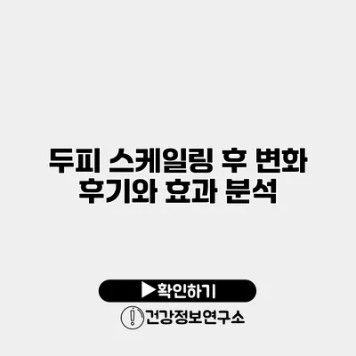 두피 스케일링 후 변화 후기와 효과 분석