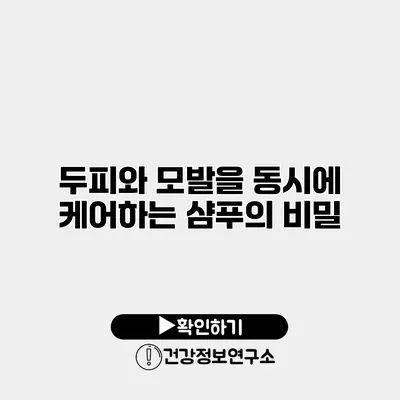 두피와 모발을 동시에 케어하는 샴푸의 비밀