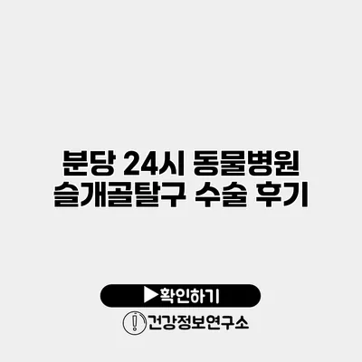 분당 24시 동물병원 슬개골탈구 수술 후기