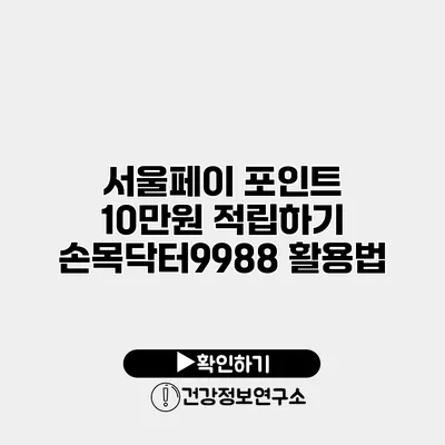 서울페이 포인트 10만원 적립하기 손목닥터9988 활용법