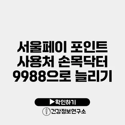 서울페이 포인트 사용처 손목닥터 9988으로 늘리기