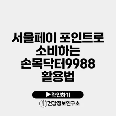 서울페이 포인트로 소비하는 손목닥터9988 활용법