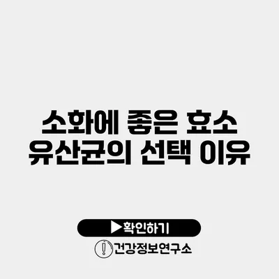 소화에 좋은 효소 유산균의 선택 이유