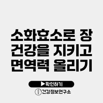 소화효소로 장 건강을 지키고 면역력 올리기