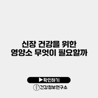 신장 건강을 위한 영양소 무엇이 필요할까?