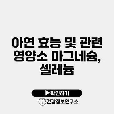 아연 효능 및 관련 영양소 마그네슘, 셀레늄