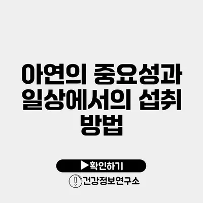 아연의 중요성과 일상에서의 섭취 방법