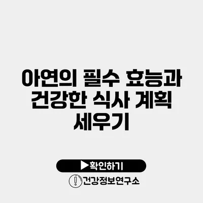 아연의 필수 효능과 건강한 식사 계획 세우기