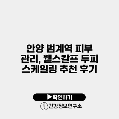 안양 범계역 피부 관리, 웰스칼프 두피 스케일링 추천 후기