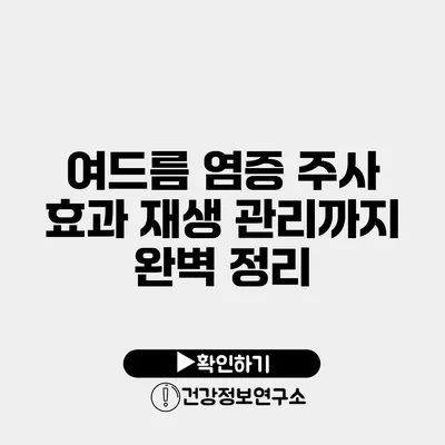 여드름 염증 주사 효과 재생 관리까지 완벽 정리