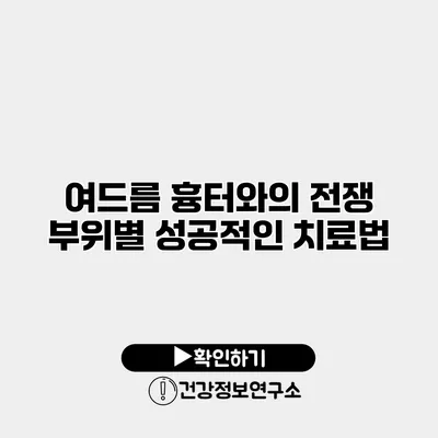 여드름 흉터와의 전쟁 부위별 성공적인 치료법