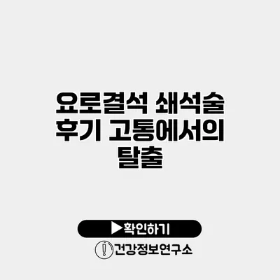 요로결석 쇄석술 후기 고통에서의 탈출