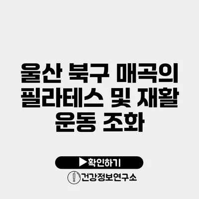 울산 북구 매곡의 필라테스 및 재활 운동 조화