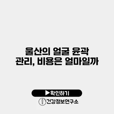 울산의 얼굴 윤곽 관리, 비용은 얼마일까?