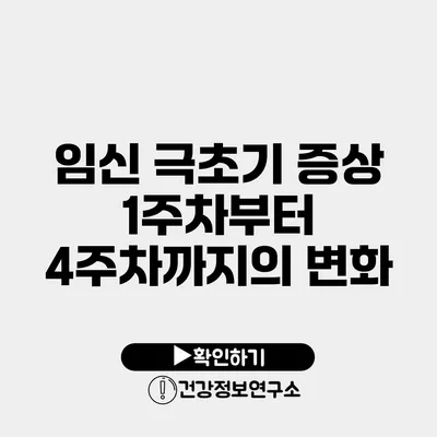 임신 극초기 증상 1주차부터 4주차까지의 변화