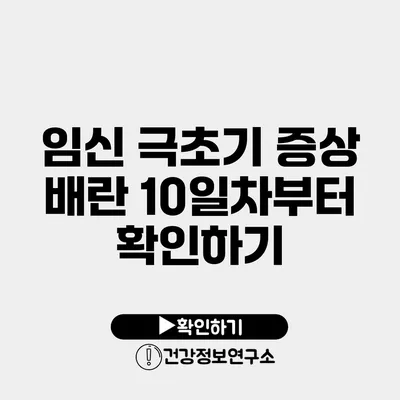 임신 극초기 증상 배란 10일차부터 확인하기