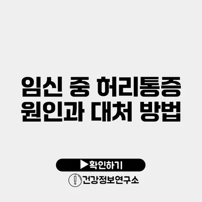 임신 중 허리통증 원인과 대처 방법