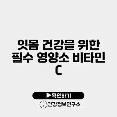 잇몸 건강을 위한 필수 영양소 비타민 C