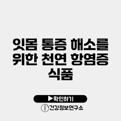잇몸 통증 해소를 위한 천연 항염증 식품