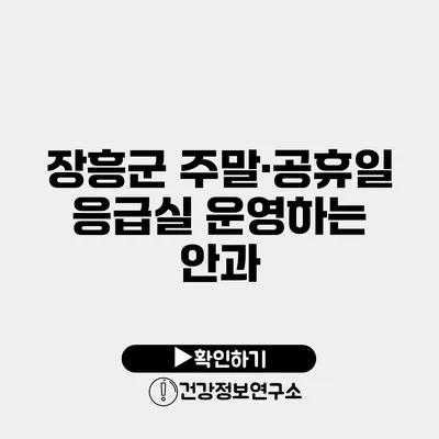 장흥군 주말·공휴일 응급실 운영하는 안과