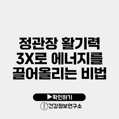 정관장 활기력 3X로 에너지를 끌어올리는 비법