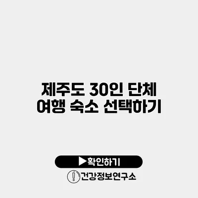 제주도 30인 단체 여행 숙소 선택하기