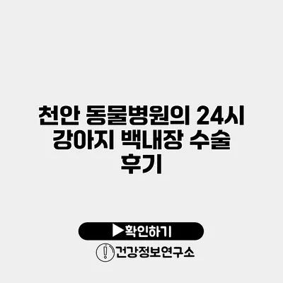 천안 동물병원의 24시 강아지 백내장 수술 후기