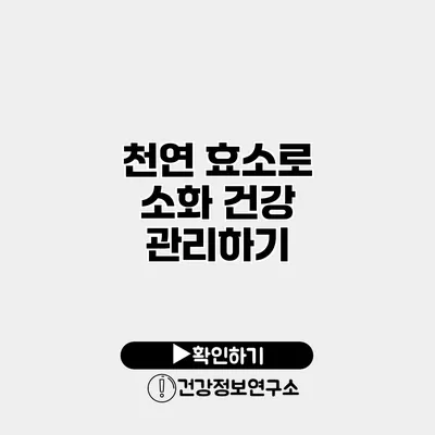 천연 효소로 소화 건강 관리하기