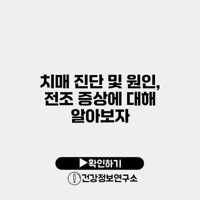 치매 진단 및 원인, 전조 증상에 대해 알아보자